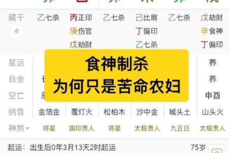 食神生财八字命详解