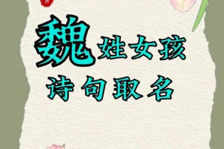 魏姓女孩生辰八字起名字  生辰八字起名免费网站