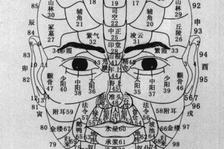 八字骨相