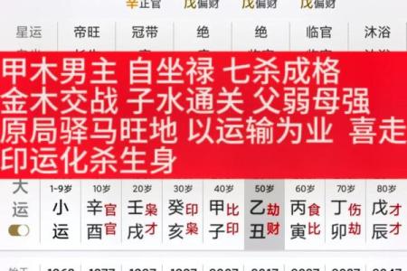 八字水木多