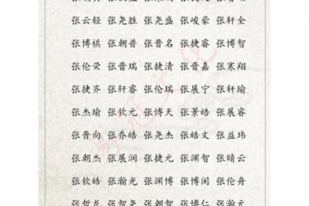 张姓男孩名字大全-张姓男孩起名字大全-张姓名字大全姓名