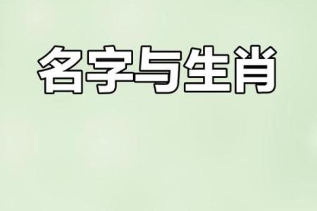 属猴未时出生的男孩应该如何取一个好名字姓名