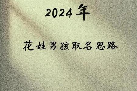 花姓女孩名字大全-花姓女孩起名字大全-花姓名字大全姓名