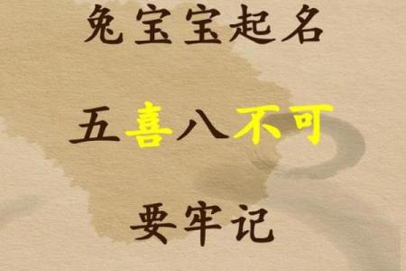 2025兔宝宝起名生辰八字