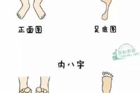 外八字轮