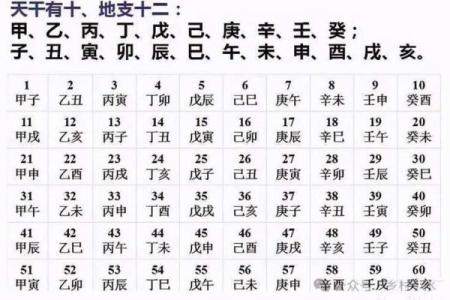 怎样查看自己的生辰八字