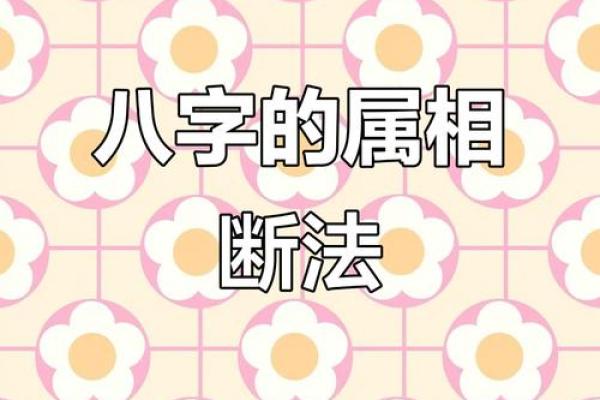 怎么样从八字测算兄弟姐妹