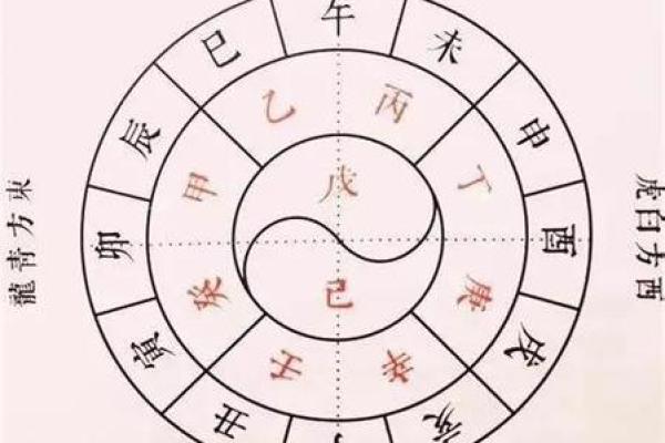 八字年支隐藏的秘密