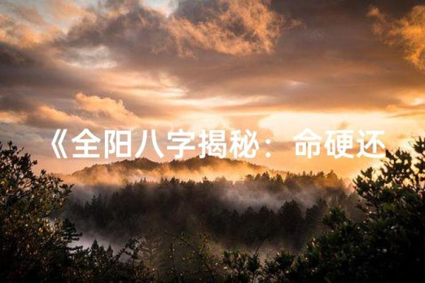 八字全阳是什么意思