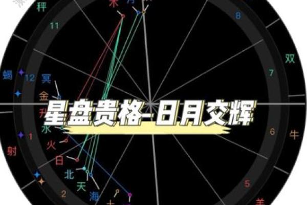 日月在八字