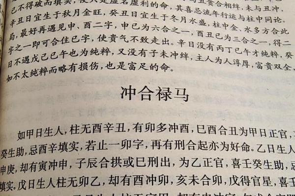 八字禄