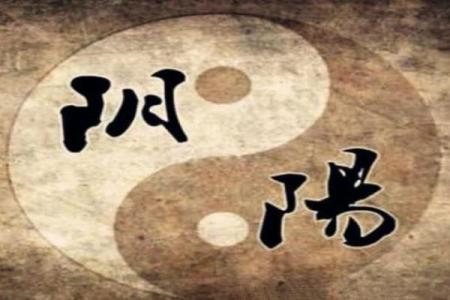 如何利用八字纯阳选择适合自己的职业