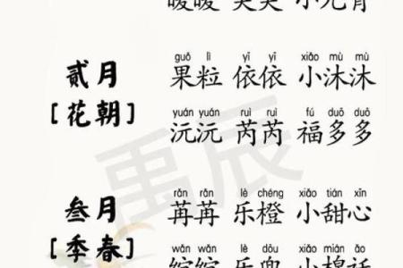 名字测八字