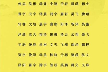 2019年5月13号卯时出生的男孩应该起什么样的名字姓名