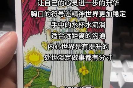 塔罗测试五月学习运