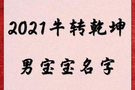 要如何给凌晨3点出生的属牛男孩取名字姓名