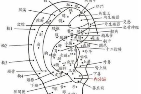 耳疼测试吉凶
