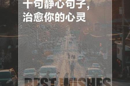 静心八字句