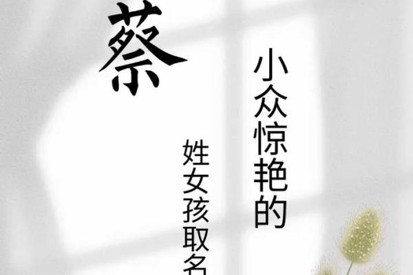 蔡姓男孩名字大全-蔡姓男孩起名字大全-蔡姓名字大全姓名