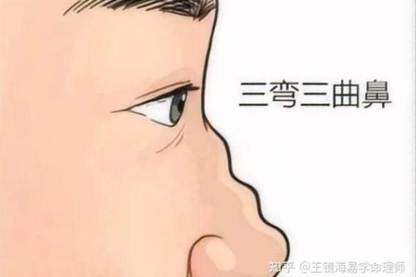 俗语说：“男怕八字眉，女怕弯鼻配”，是啥意思？有依据吗