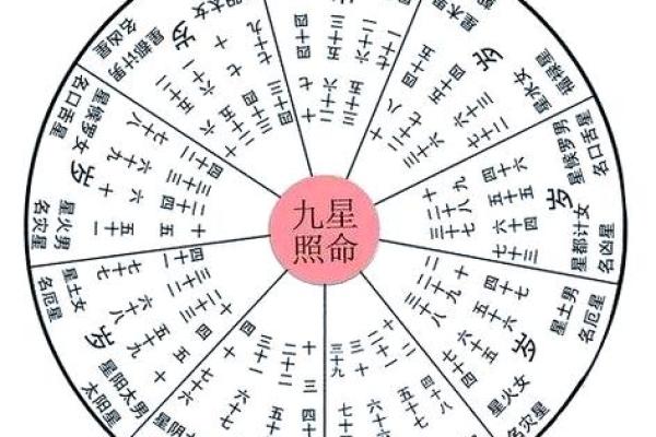 怎么判断八字里的太阴星和太阴星