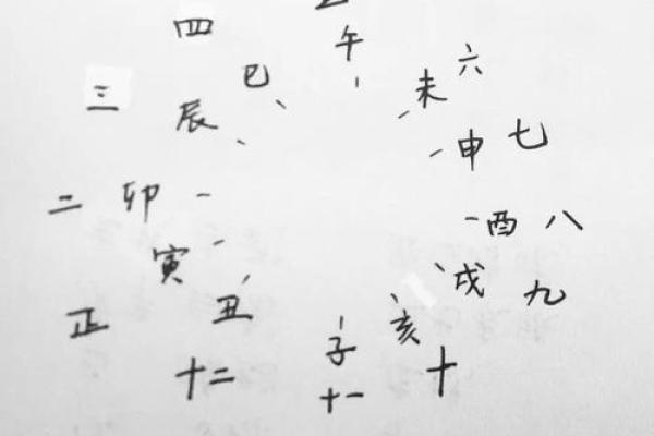 八字收集