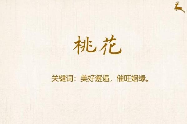 八字里最厉害的桃花