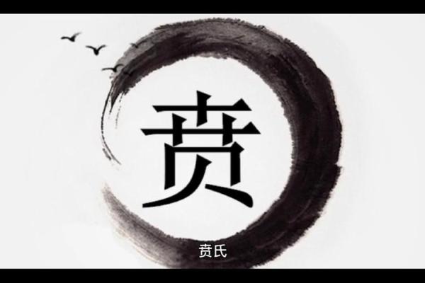 贲姓女孩名字大全-贲姓女孩起名字大全-贲姓名字大全姓名