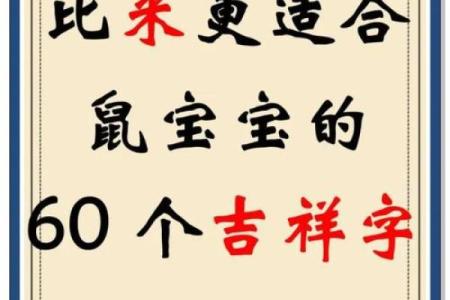 中午1点出生的属鼠男孩用什么字取名比较好姓名