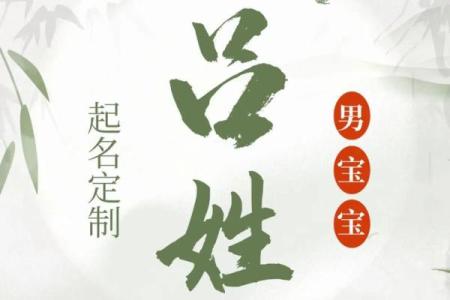 吕姓女孩名字大全-吕姓女孩起名字大全-吕姓名字大全姓名