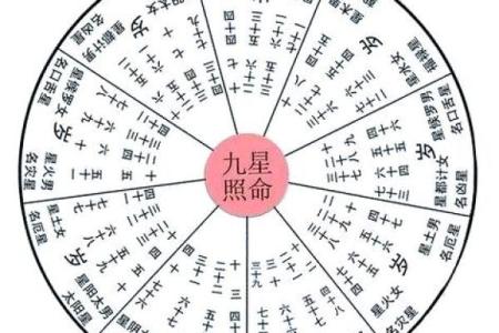 怎么判断八字里的太阴星和太阴星