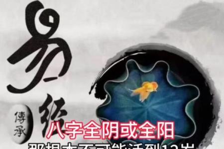 女命八字全阳为魔 纯阳八字女命