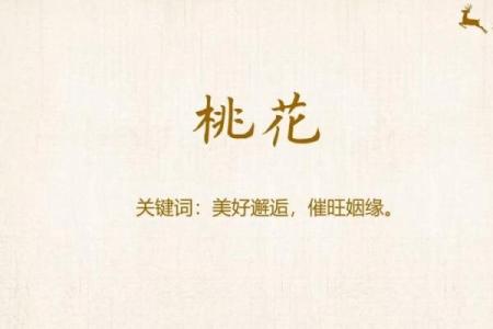 八字里最厉害的桃花