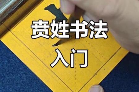 贲姓女孩名字大全-贲姓女孩起名字大全-贲姓名字大全姓名