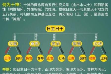 八字命理十神挺身