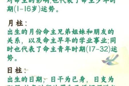 八字看月柱