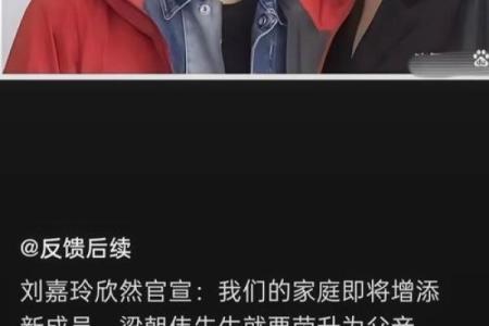 刘嘉欣梁朝伟八字合婚