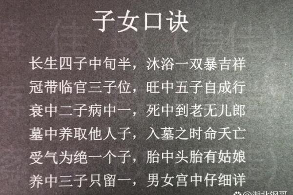 九宫盲派命理：九宫盲派八字命理秘传歌诀
