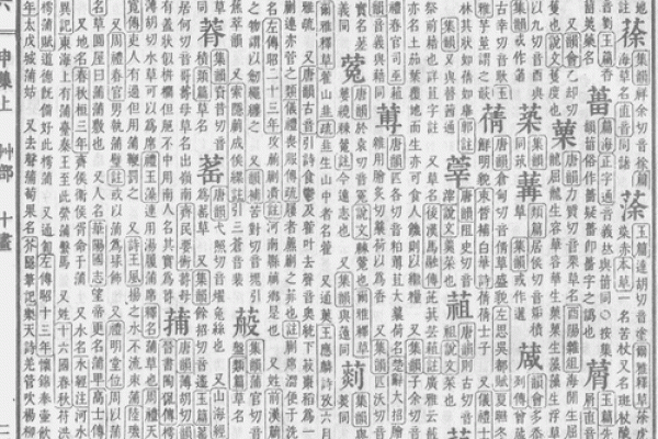 八字得分