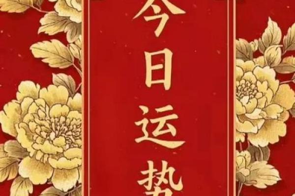 【八字日坐沐浴】看清人生运势，大有玄机！