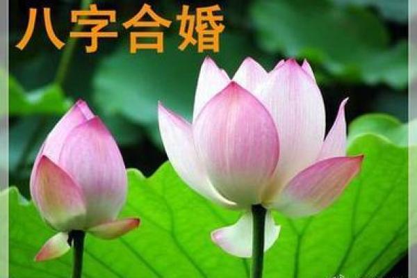 乙木女一定要嫁庚金男 八字相和很投缘