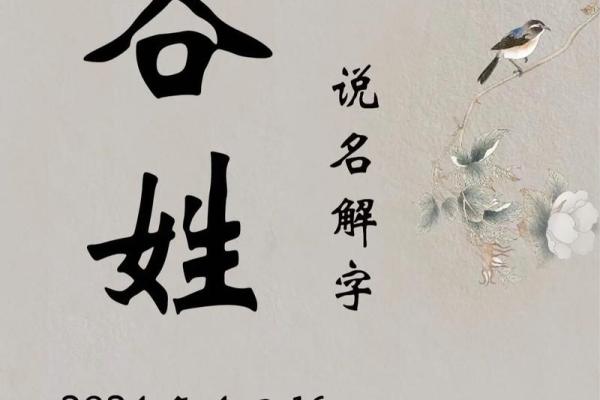 2019年3月24号午时出生的男孩要怎么起姓名