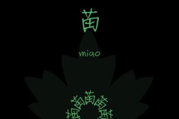 苗姓男孩名字大全-苗姓男孩起名字大全-苗姓名字大全姓名