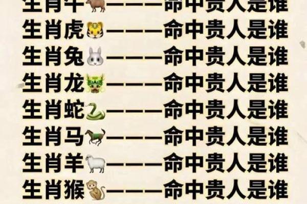 属鼠和属虎的八字合不合得来,属虎的跟属鼠的合财吗