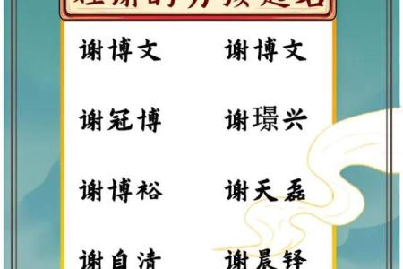 2019年6月23号卯时出生的男孩应该起什么样的名字姓名