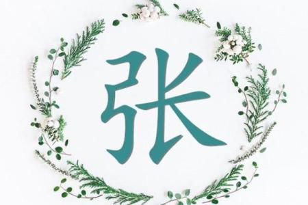 张的八字