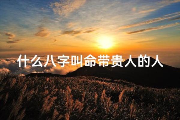 八字有贵人
