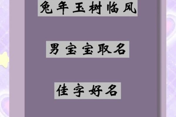 属兔酉时出生的男孩起名适合用什么字姓名