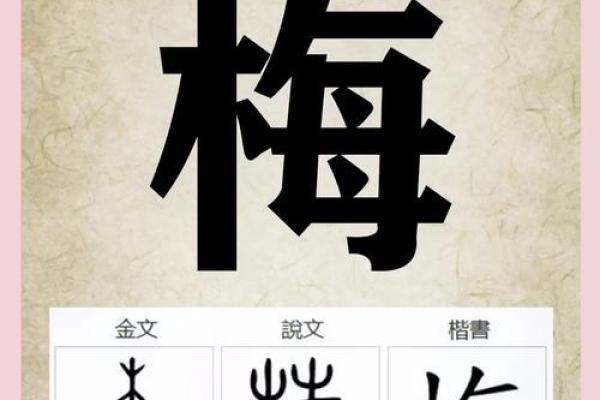 梅姓女孩名字大全-梅姓女孩起名字大全-梅姓名字大全姓名