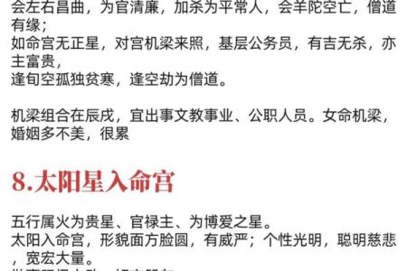 八字命宫在子